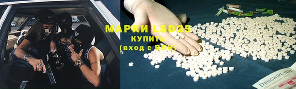 мдпв Пестово