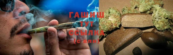 мдпв Пестово