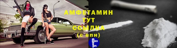 мдпв Пестово