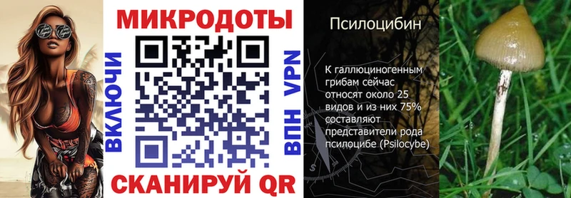 Купить где  Шимановск  Псилоцибиновые грибы GOLDEN TEACHER 