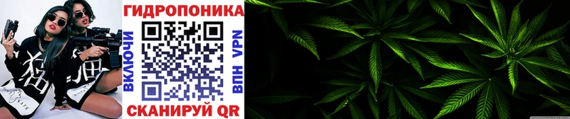 Бошки Шишки AK-47  Купить закладки  Шимановск 
